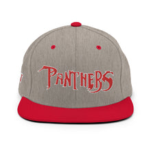 Load image into Gallery viewer, PANTHERS SNAPBACK