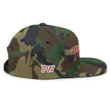 Load image into Gallery viewer, PANTHERS SNAPBACK
