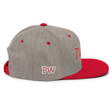 Load image into Gallery viewer, PANTHERS SNAPBACK
